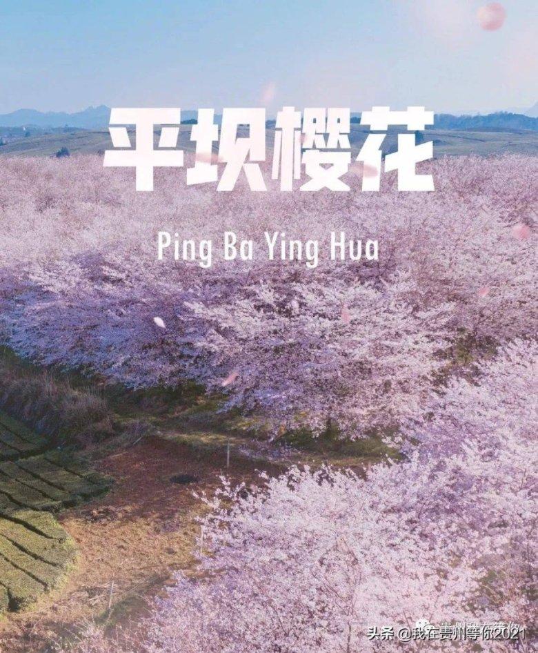 梦见姑妈要我还钱游戏画面